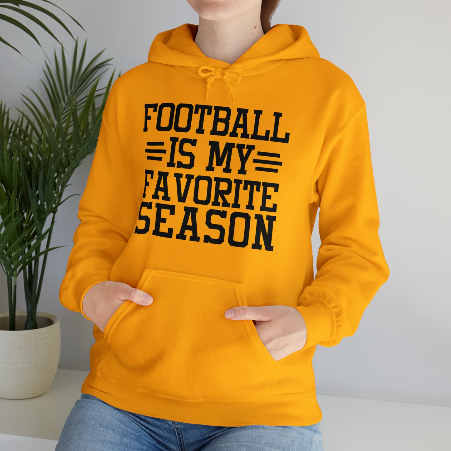 FOOTBALL is my Favorite Season Hoodie